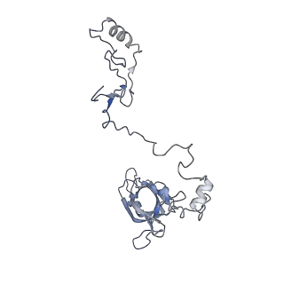 11846_7aor_ao_v2-0
mt-SSU from Trypanosoma cruzi in complex with mt-IF-3.