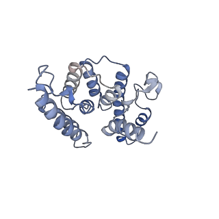 11846_7aor_ap_v1-0
mt-SSU from Trypanosoma cruzi in complex with mt-IF-3.