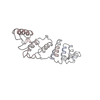 11846_7aor_aq_v1-0
mt-SSU from Trypanosoma cruzi in complex with mt-IF-3.
