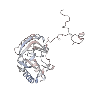 11846_7aor_ar_v1-0
mt-SSU from Trypanosoma cruzi in complex with mt-IF-3.