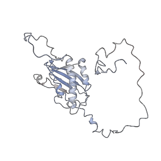 11846_7aor_as_v1-0
mt-SSU from Trypanosoma cruzi in complex with mt-IF-3.