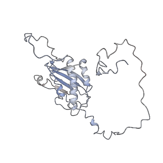 11846_7aor_as_v2-0
mt-SSU from Trypanosoma cruzi in complex with mt-IF-3.