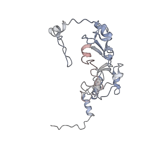11846_7aor_at_v1-0
mt-SSU from Trypanosoma cruzi in complex with mt-IF-3.