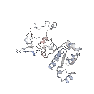 11846_7aor_au_v1-0
mt-SSU from Trypanosoma cruzi in complex with mt-IF-3.