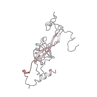 11846_7aor_av_v1-0
mt-SSU from Trypanosoma cruzi in complex with mt-IF-3.