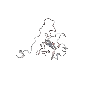 11846_7aor_aw_v1-0
mt-SSU from Trypanosoma cruzi in complex with mt-IF-3.