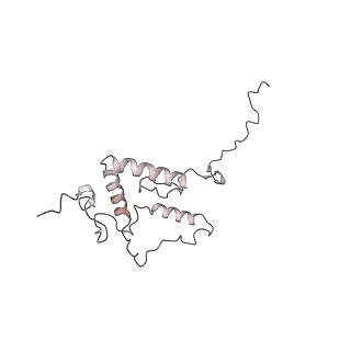 11846_7aor_ax_v1-0
mt-SSU from Trypanosoma cruzi in complex with mt-IF-3.