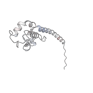 11846_7aor_ay_v1-0
mt-SSU from Trypanosoma cruzi in complex with mt-IF-3.