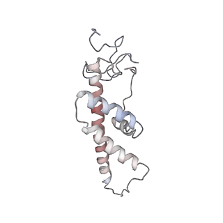 11846_7aor_az_v1-0
mt-SSU from Trypanosoma cruzi in complex with mt-IF-3.