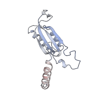 11846_7aor_b_v1-0
mt-SSU from Trypanosoma cruzi in complex with mt-IF-3.