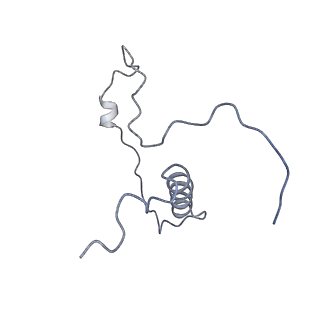 11846_7aor_ba_v1-0
mt-SSU from Trypanosoma cruzi in complex with mt-IF-3.