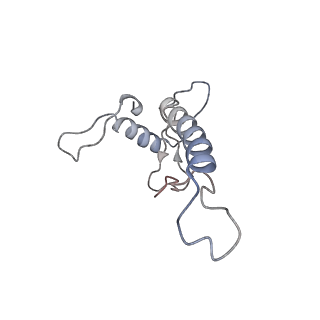 11846_7aor_bb_v1-0
mt-SSU from Trypanosoma cruzi in complex with mt-IF-3.