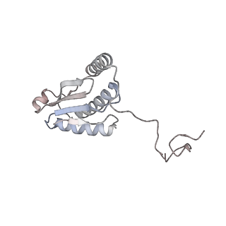 11846_7aor_bc_v1-0
mt-SSU from Trypanosoma cruzi in complex with mt-IF-3.