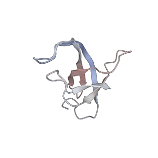11846_7aor_be_v1-0
mt-SSU from Trypanosoma cruzi in complex with mt-IF-3.