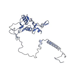 11846_7aor_c_v1-0
mt-SSU from Trypanosoma cruzi in complex with mt-IF-3.