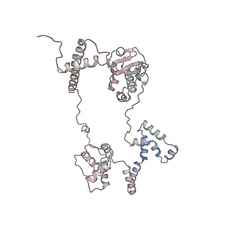 11846_7aor_d_v1-0
mt-SSU from Trypanosoma cruzi in complex with mt-IF-3.