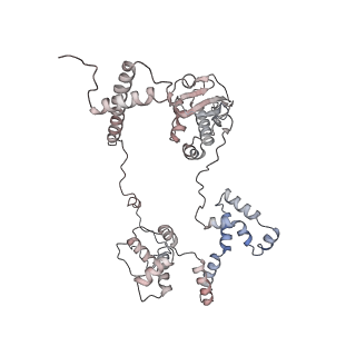 11846_7aor_d_v2-0
mt-SSU from Trypanosoma cruzi in complex with mt-IF-3.