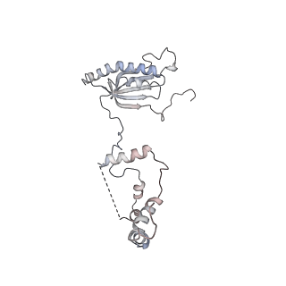 11846_7aor_f_v1-0
mt-SSU from Trypanosoma cruzi in complex with mt-IF-3.
