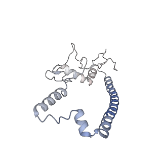 11846_7aor_g_v1-0
mt-SSU from Trypanosoma cruzi in complex with mt-IF-3.