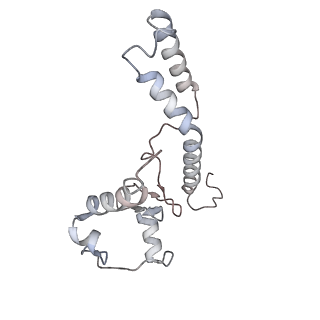 11846_7aor_h_v1-0
mt-SSU from Trypanosoma cruzi in complex with mt-IF-3.