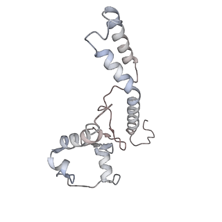 11846_7aor_h_v2-0
mt-SSU from Trypanosoma cruzi in complex with mt-IF-3.