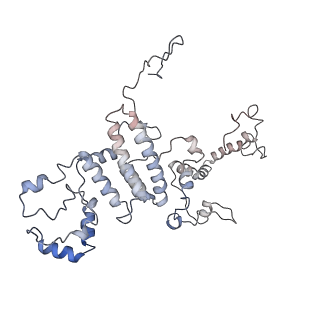 11846_7aor_i_v1-0
mt-SSU from Trypanosoma cruzi in complex with mt-IF-3.