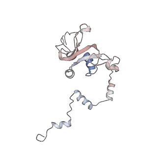 11846_7aor_j_v1-0
mt-SSU from Trypanosoma cruzi in complex with mt-IF-3.