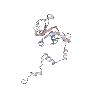 11846_7aor_j_v2-0
mt-SSU from Trypanosoma cruzi in complex with mt-IF-3.