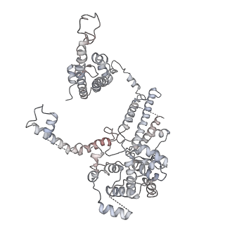 11846_7aor_l_v1-0
mt-SSU from Trypanosoma cruzi in complex with mt-IF-3.