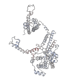 11846_7aor_l_v2-0
mt-SSU from Trypanosoma cruzi in complex with mt-IF-3.