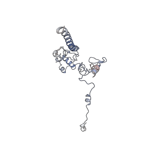 11846_7aor_m_v1-0
mt-SSU from Trypanosoma cruzi in complex with mt-IF-3.