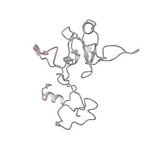 11846_7aor_n_v1-0
mt-SSU from Trypanosoma cruzi in complex with mt-IF-3.