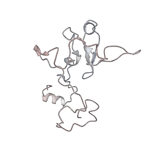 11846_7aor_n_v2-0
mt-SSU from Trypanosoma cruzi in complex with mt-IF-3.