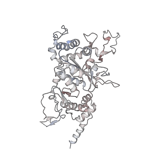 11846_7aor_r_v1-0
mt-SSU from Trypanosoma cruzi in complex with mt-IF-3.