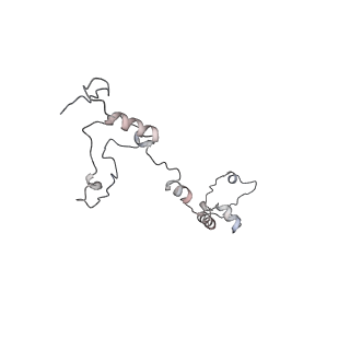 11846_7aor_s_v1-0
mt-SSU from Trypanosoma cruzi in complex with mt-IF-3.