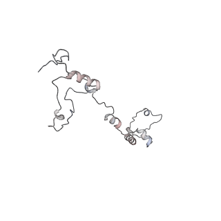 11846_7aor_s_v2-0
mt-SSU from Trypanosoma cruzi in complex with mt-IF-3.