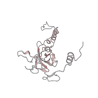 11846_7aor_t_v1-0
mt-SSU from Trypanosoma cruzi in complex with mt-IF-3.