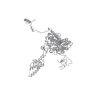 11846_7aor_u_v1-0
mt-SSU from Trypanosoma cruzi in complex with mt-IF-3.