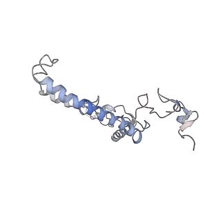 11846_7aor_v_v1-0
mt-SSU from Trypanosoma cruzi in complex with mt-IF-3.
