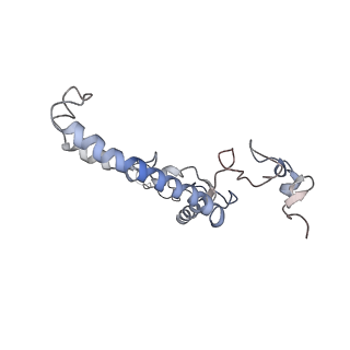 11846_7aor_v_v2-0
mt-SSU from Trypanosoma cruzi in complex with mt-IF-3.