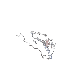 11846_7aor_w_v1-0
mt-SSU from Trypanosoma cruzi in complex with mt-IF-3.