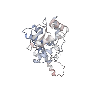 11846_7aor_x_v1-0
mt-SSU from Trypanosoma cruzi in complex with mt-IF-3.