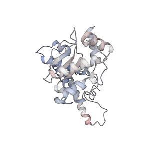11846_7aor_x_v2-0
mt-SSU from Trypanosoma cruzi in complex with mt-IF-3.