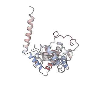 11846_7aor_y_v1-0
mt-SSU from Trypanosoma cruzi in complex with mt-IF-3.