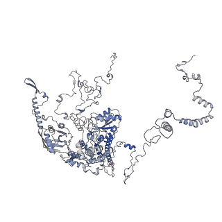 11846_7aor_z_v1-0
mt-SSU from Trypanosoma cruzi in complex with mt-IF-3.