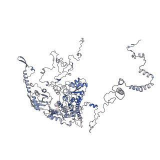 11846_7aor_z_v2-0
mt-SSU from Trypanosoma cruzi in complex with mt-IF-3.