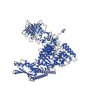 11848_7aoz_A_v1-2
Atomic structure of the poxvirus transcription initiation complex in conformation 1