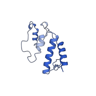 11848_7aoz_S_v1-2
Atomic structure of the poxvirus transcription initiation complex in conformation 1