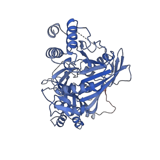 15554_8aow_A_v1-0
CryoEM structure of the Chikungunya virus nsP1 capping pores in complex with m7GTP and SAH ligands