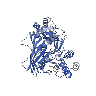15554_8aow_O_v1-0
CryoEM structure of the Chikungunya virus nsP1 capping pores in complex with m7GTP and SAH ligands